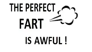 The Perfect Fart ?