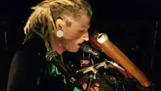 FINGERS Mitchell Cullen Freakshow Boston Brewing Co 2018