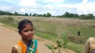 छुट्टी का दिन हमलोग गाय बैल चराते हैं।// Talamai Purty vlog