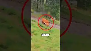 🔥Never Trust Your Boyfriend🔥