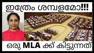 mla salary | kerala elections | malayalam | VB Karthika