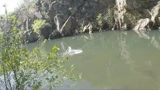 Mi paraíso para pescar truchas con la vista a mosca y ninfa con buldo