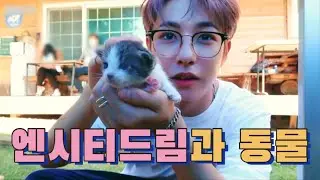 [NCT/엔시티드림] 귀여운거 + 귀여운거 = 왕귀여운거 _드림과 동물