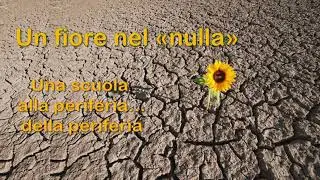 Un fiore nel nulla