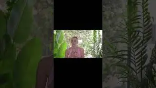 Почему курсы личностного развития только усугубляют ситуацию...