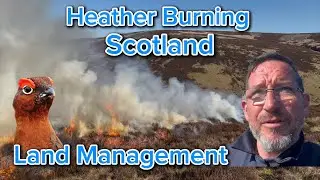 Muirburn!                                                        (photo credit  @Thomas Gibson)