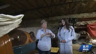 Rocky Springs Carousel on display to ride again at Strasburg&rsquo;s Choo Choo Barn