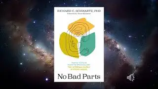 S4 118 No Bad Parts  Healing and Transformation Through Internal Family Systems