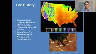 What is a (northern) Piedmont Prairie?