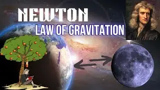 Newton's Law of Gravitation Explained Simply | Physics Animation + Real-Life Examples