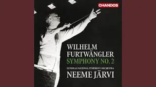 Symphony No. 2 in E Minor: I. Assai moderato
