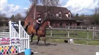 Lematan Amber Lace show jumping
