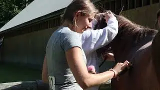 Equestrian Program 2024!