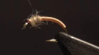 Fly Tying: Brassie (Nymph)