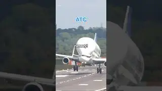 Белуга ИГНОРИРУЕТ ПРЕДУПРЕЖДЕНИЕ о боковом ветре 💀
