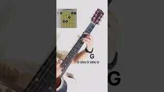 008-  strum and shine