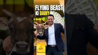 &lrm;@FlyingBeast320 Started Great Business 😱 (EXPLAINED) #shorts #flyingbeast
