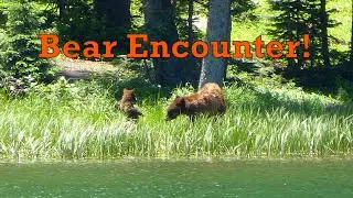 BEAR ENCOUNTER in GRAND MESA National Forest COLORADO | Cobbett Lake