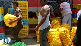 WATCH: Relief for St Elizabeth farmers.