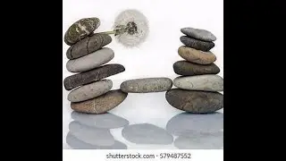 Bearing Capacity I Basics on Civil Engineering I SNS Institutions