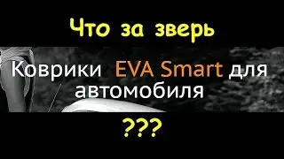 Коврики EVA SMART для УАЗ ПАТРИОТ  Отзыв и обзор  Два месяца в деле  #Уаз #Патриот # Уазвидео