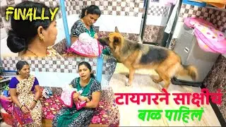 साक्षीच्या बाळाला टायगर बघायला गेला😄||