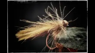 Grandis - Flugor f&ouml;r Kraddsele #5