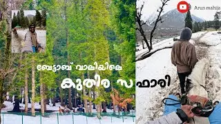 Kashmir solo trip | Episode 31| kuthira safari  ❤️| #pahalgam #solotrip #travel #betabvalley