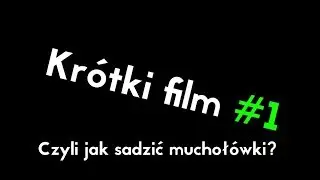 Krótki film #1 - Czyli jak sadzić muchołówki? wg tracer274 (Poprawiona)