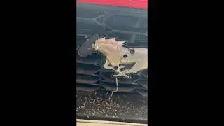 2024 / 2025 Ford Mustang front emblem / badge replacement