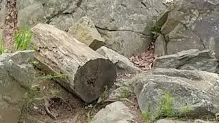 Billy Goat Trail A Full Hike in 4K
