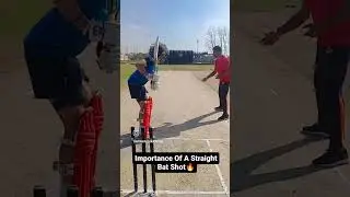 Straight Bat Magic🔥🔥 #easydrill #amazingresult #batting