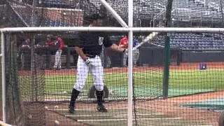 Casper Wells of the Detroit Tigers