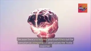 Why You Can&rsquo;t Tickle Yourself | Neuroscience Explained#Tickle #BrainFacts #KnowPop #mindexplained