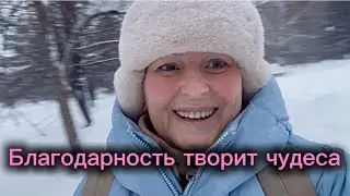 Благодарность творит чудеса #благодарность #чудо #осознанность 