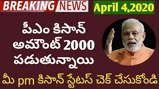 Pm kisan amount 2000 credit in account || check your pm kosam status