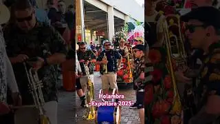 Holambra - Expoflora 2025 #holambra #gezilecekyerler #festival