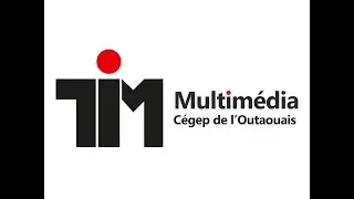 Technique Int&eacute;gration Multim&eacute;dia | Un programme unique