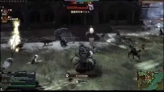 Guild Wars 2 Drakkar See WvW Bogaty