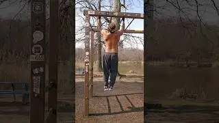 THE PERFECT HAMMER GRIP PULL UPS TO GET A BIG BACK #shorts #seang #backworkout #calisthenics #love