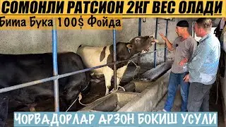 1 КУНДА  1.5 кг 2кг кошиш сирлари сомонли ратсион