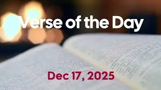 Lessons We Learn from the Analogy of Seeds Falling Among Thorns | Verse of the Day