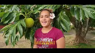 TA'U  FATU  AROHA  MAI  MEHANI   BAND 10/09/2021