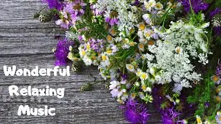🎶 Wonderful Relaxing Music & Beautiful Summer Flowers (Meditation, Stress Relief, Soothing Music) 🎶