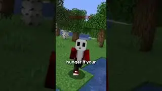 everything about hunger in minecraft