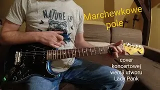 Marchewkowe pole (fragment wersji koncertowej) - cover Lady Pank