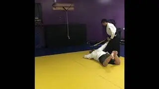 Aikido And Progressional Training