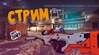 STREAM CSGO/GO TOGETHER