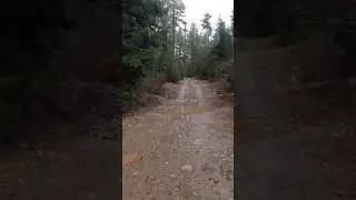 Rolling Trails ⛰️| Tahuya and Rock Garden Loop 🏃 #running #lofi #asmr #trailrunning #rain