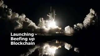 Panel - Beefing Up Blockchain &ETH; How Blockchain Can Transform the Beef Supply Chain